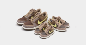 undefeated-x-nike-dunk-low-slyp